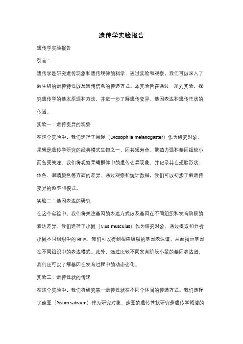 遗传学实验报告