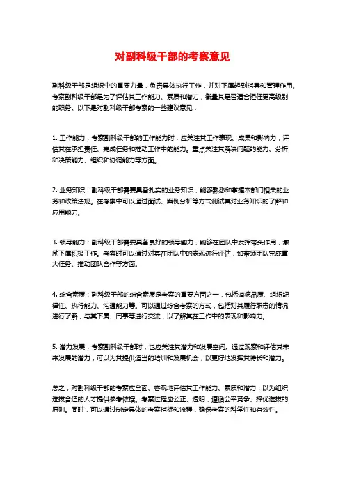 对副科级干部的考察意见