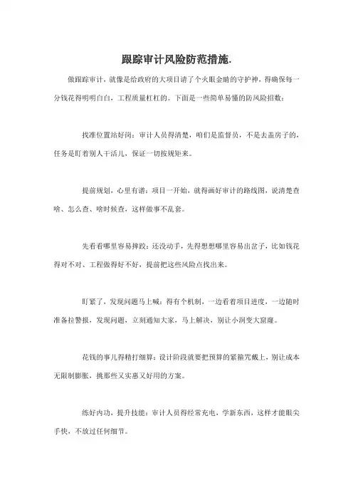 跟踪审计风险防范措施