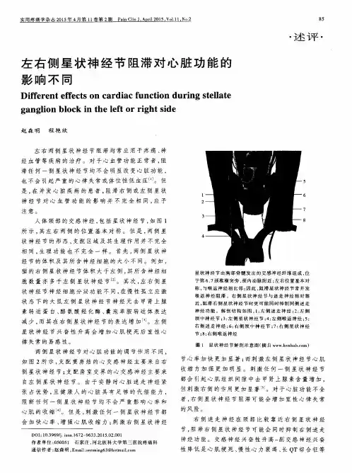 左右侧星状神经节阻滞对心脏功能的影响不同
