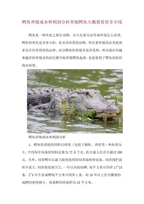 鳄鱼养殖成本和利润分析 养殖鳄鱼大概要投资多少钱
