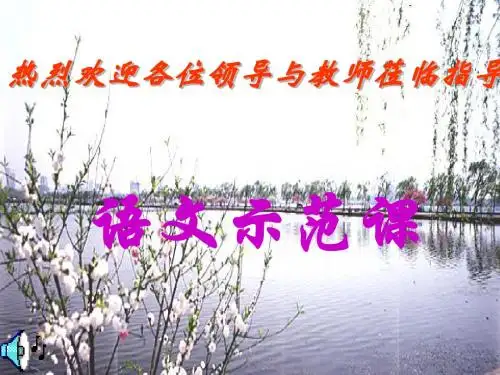 柳叶儿PPT7 苏教版 (共14张PPT)