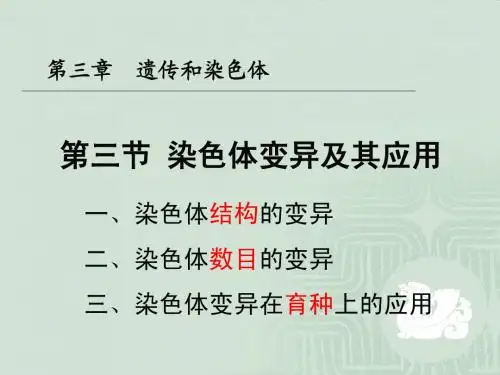 苏教版教学课件苏教版高中生物_染色体变异及其应用