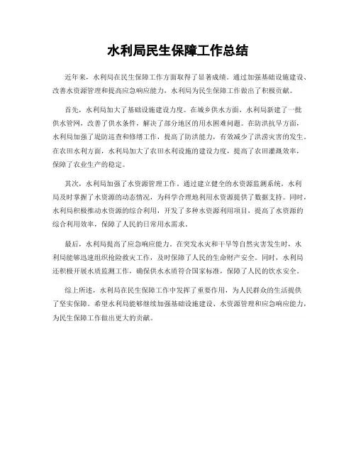 水利局民生保障工作总结