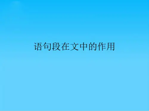 语句段在文中的作用
