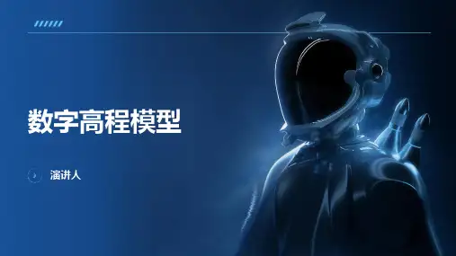 数字高程模型