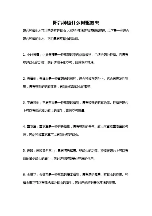 阳台种植什么树驱蚊虫