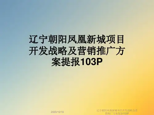 辽宁朝阳凤凰新城项目开发战略及营销推广方案提报103P