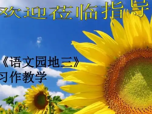 三年级语文园地三习作