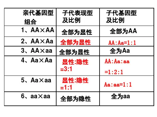 第1节基因自由组合规律