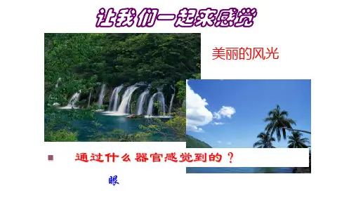 浙教版初中科学七年级下册第1节感觉世界