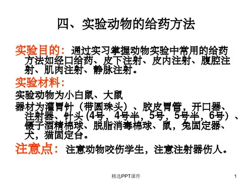 动物的给药、麻醉、处死术ppt课件