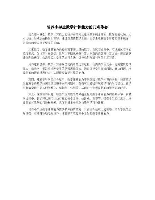 培养小学生数学计算能力的几点体会