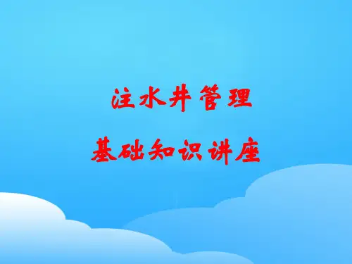 注水井管理基础知识专题讲座(ppt 16页)