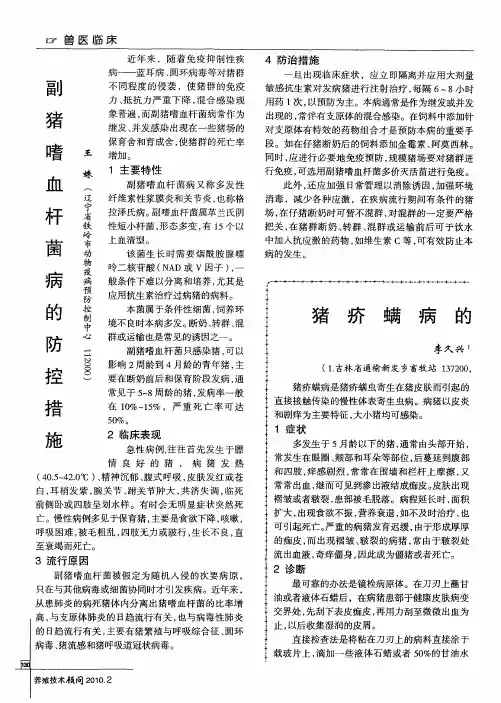 副猪嗜血杆菌病的防控措施