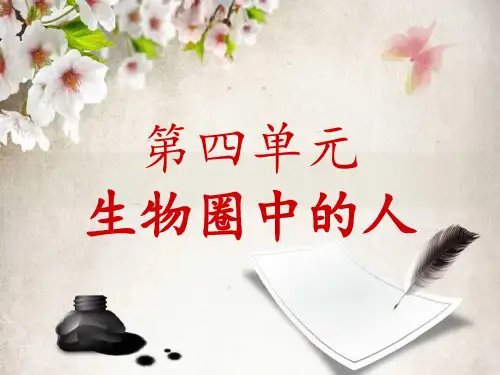 人类的起源与进化PPT课件