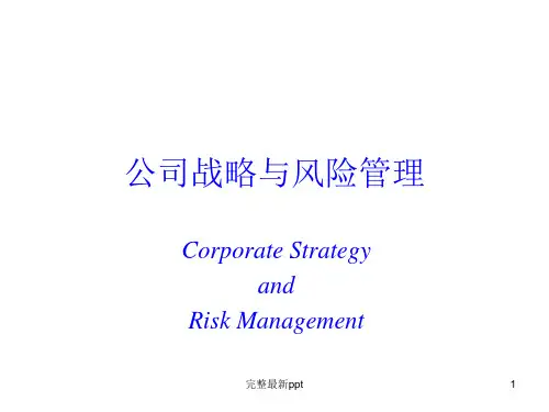 公司战略与风险管理ppt课件