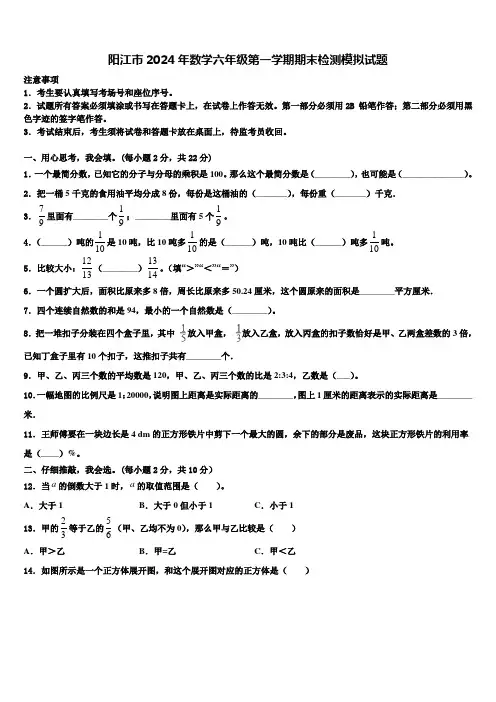 阳江市2024年数学六年级第一学期期末检测模拟试题含解析
