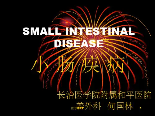 《小肠疾病》PPT课件 (2)