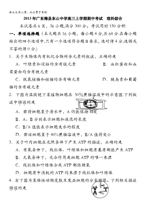 广东省梅县东山中学2014届高三上学期期中理综试题 含答案
