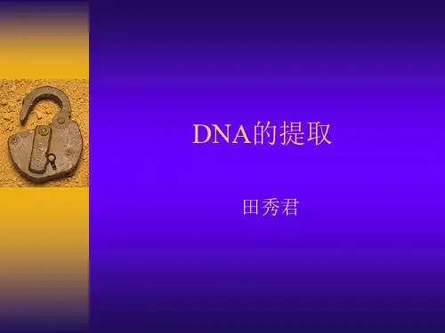 QIAGEN-组织提取试剂盒