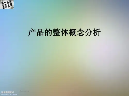 产品的整体概念分析