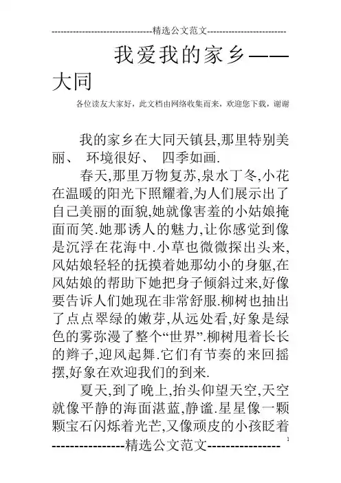 我爱我的家乡――大同
