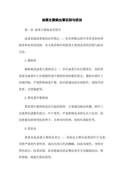 油菜主要病虫害识别与防治