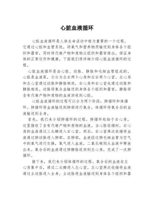 心脏血液循环