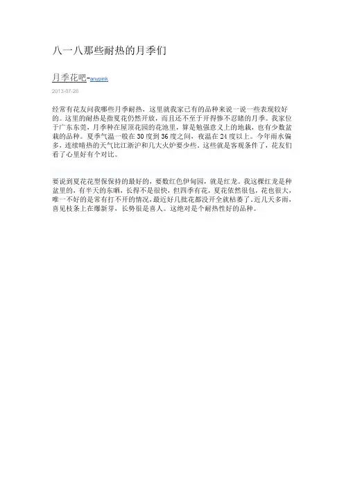 八一八那些耐热的月季们