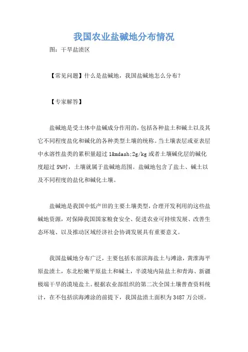 我国农业盐碱地分布情况