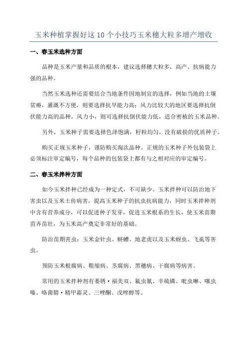 玉米种植掌握好这10个小技巧玉米穗大粒多增产增收