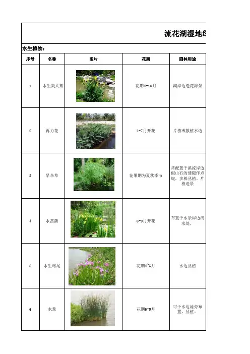 水生植物介绍