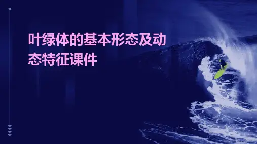 叶绿体的基本形态及动态特征课件