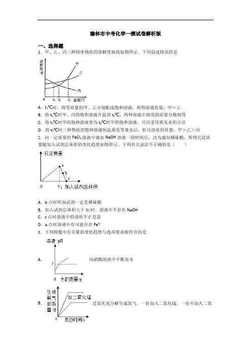 榆林市中考化学一模试卷解析版