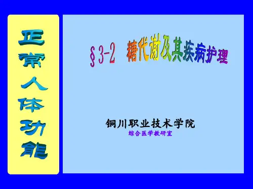 正常人体功能-糖代谢PPT课件