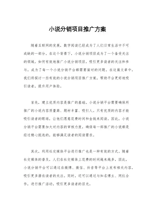 小说分销项目推广方案