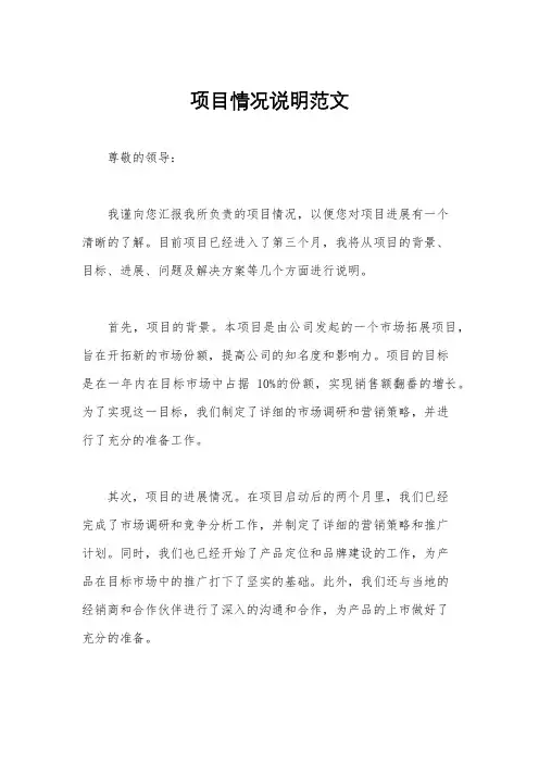 项目情况说明范文