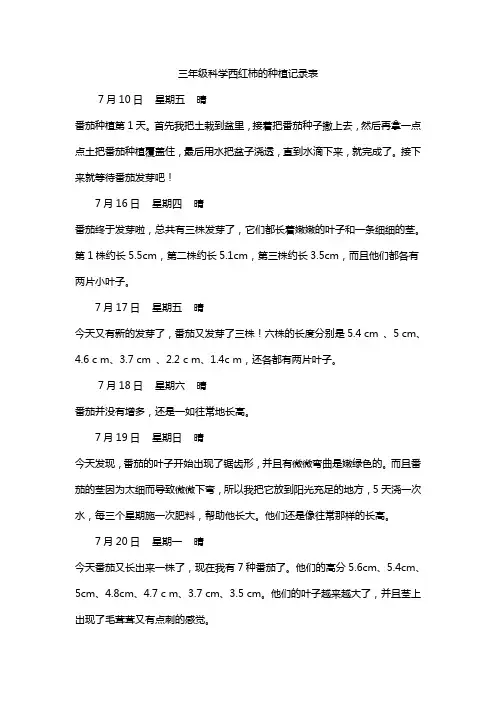三年级科学西红柿的种植记录表