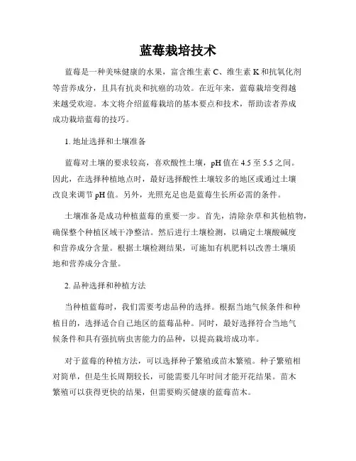 蓝莓栽培技术