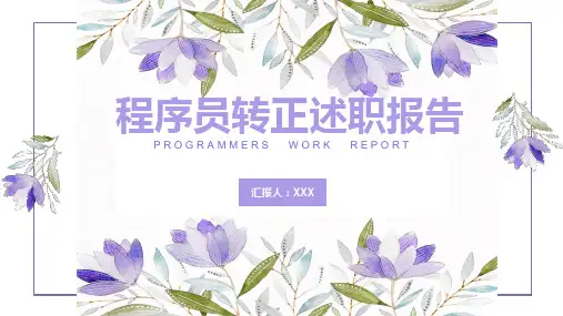 程序员转正述职报告PPT宣讲