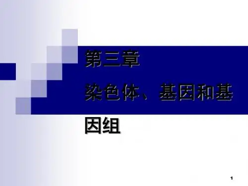 染色体基因组和基因