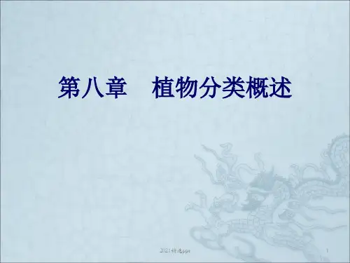 植物分类概述ppt课件