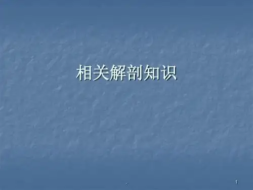 脊柱及椎体解剖图谱PPT课件
