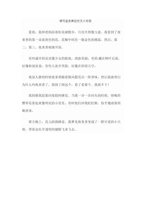 描写夜来香的作文三年级