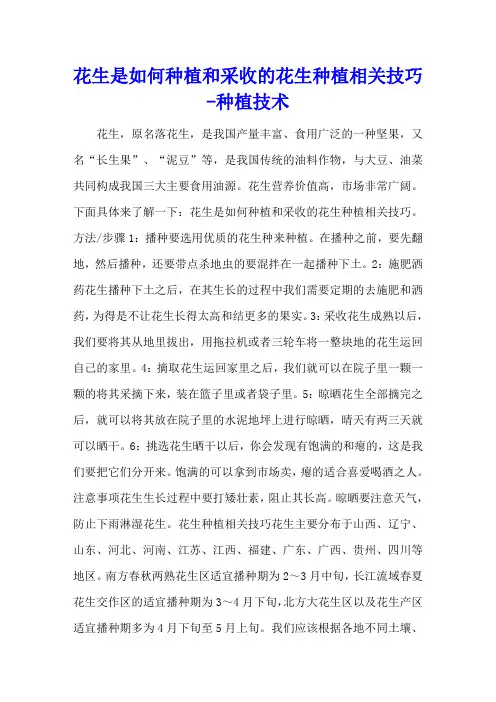 花生是如何种植和采收的 花生种植相关技巧 - 种植技术