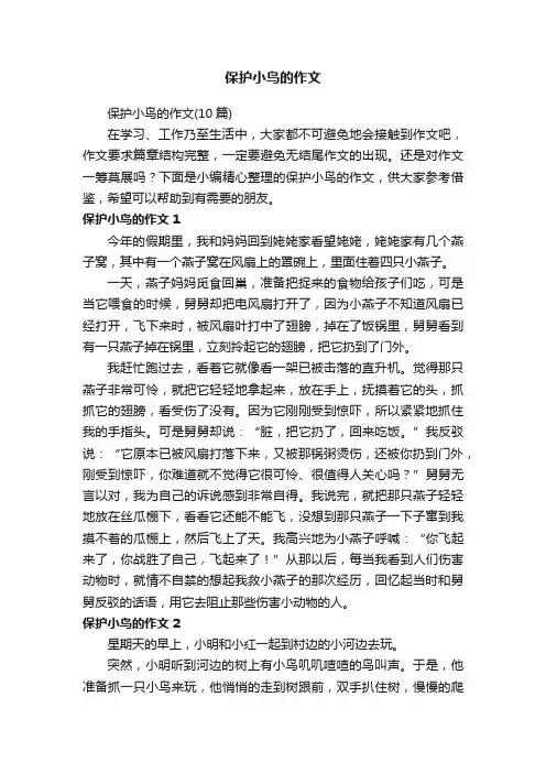 保护小鸟的作文（10篇）