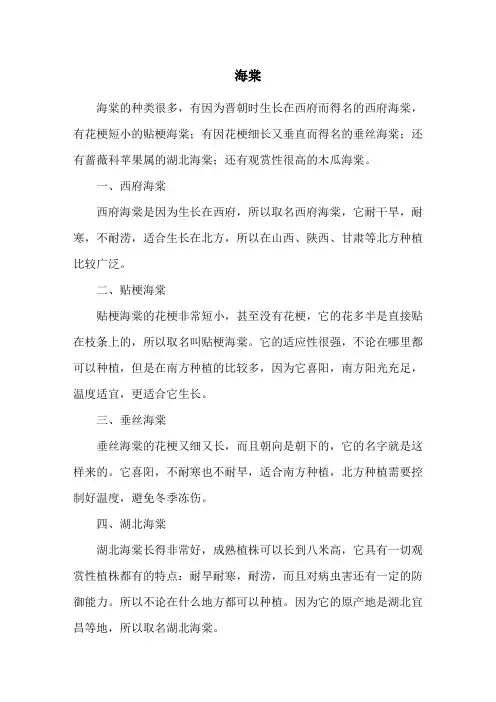 知识百科-海棠