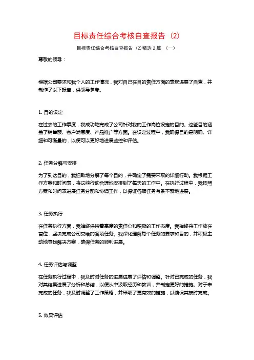 目标责任综合考核自查报告2篇