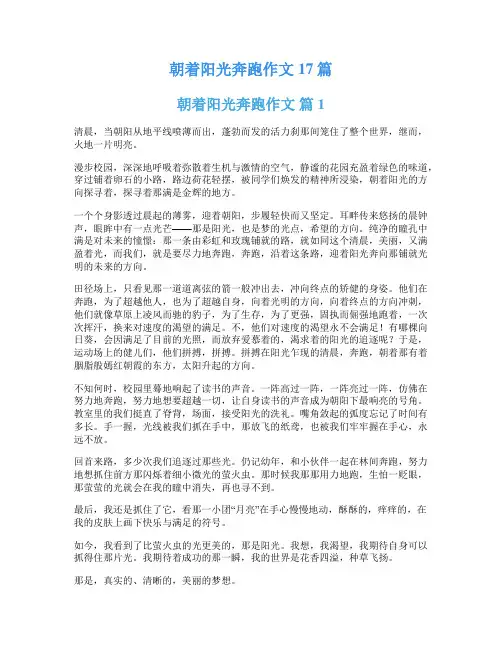 朝着阳光奔跑作文17篇